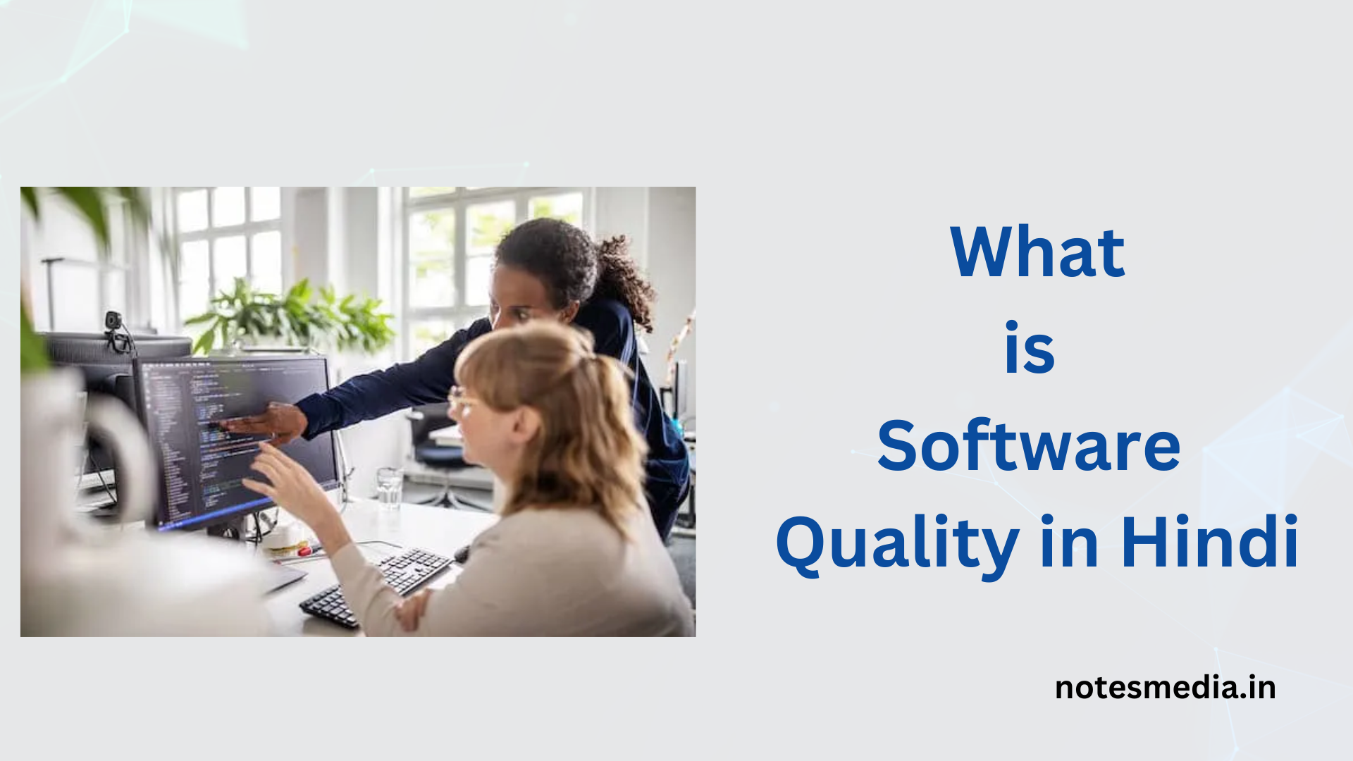 Software Quality in Hindi | What is Software Quality?